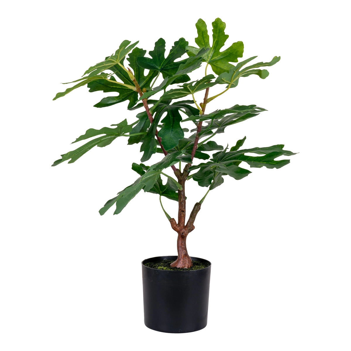 Kunstpflanze Feigenbaum
